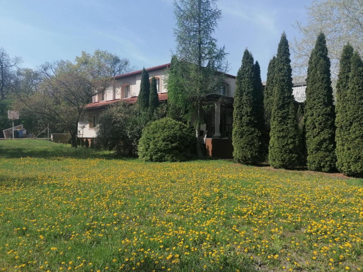 Staff House Bed & Breakfast Nyiregyhaza Exterior photo